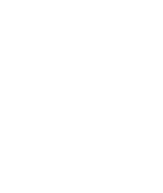 A blank white image with no visible features or objects.